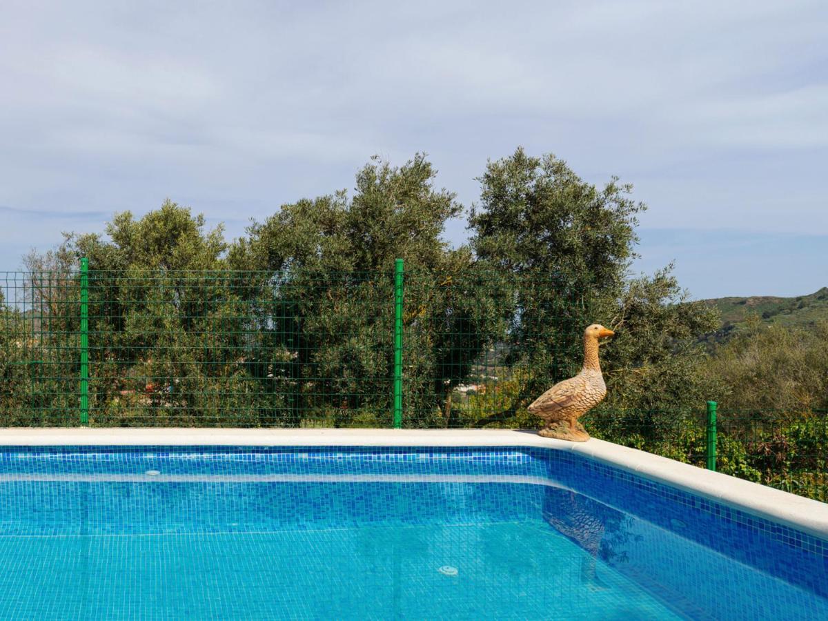 Santa Brígida Live Finca El Gamonal Bajo Con Piscina Y Jardin En La Naturaleza מראה חיצוני תמונה